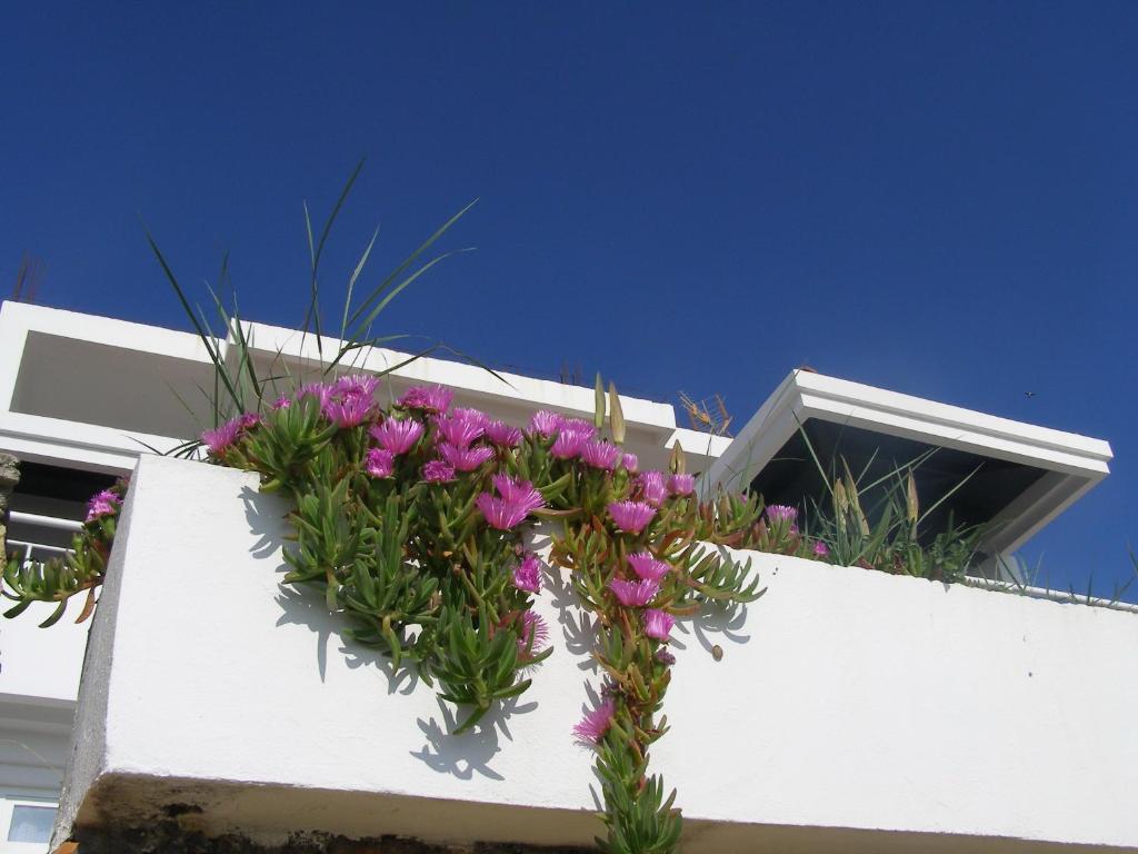 Ульцинь: Palastura Apartments