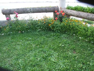 Жабляк: Šćekić Accommodation