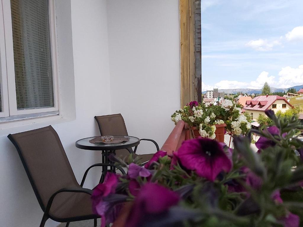 Жабляк: Apartment Zabljak Center