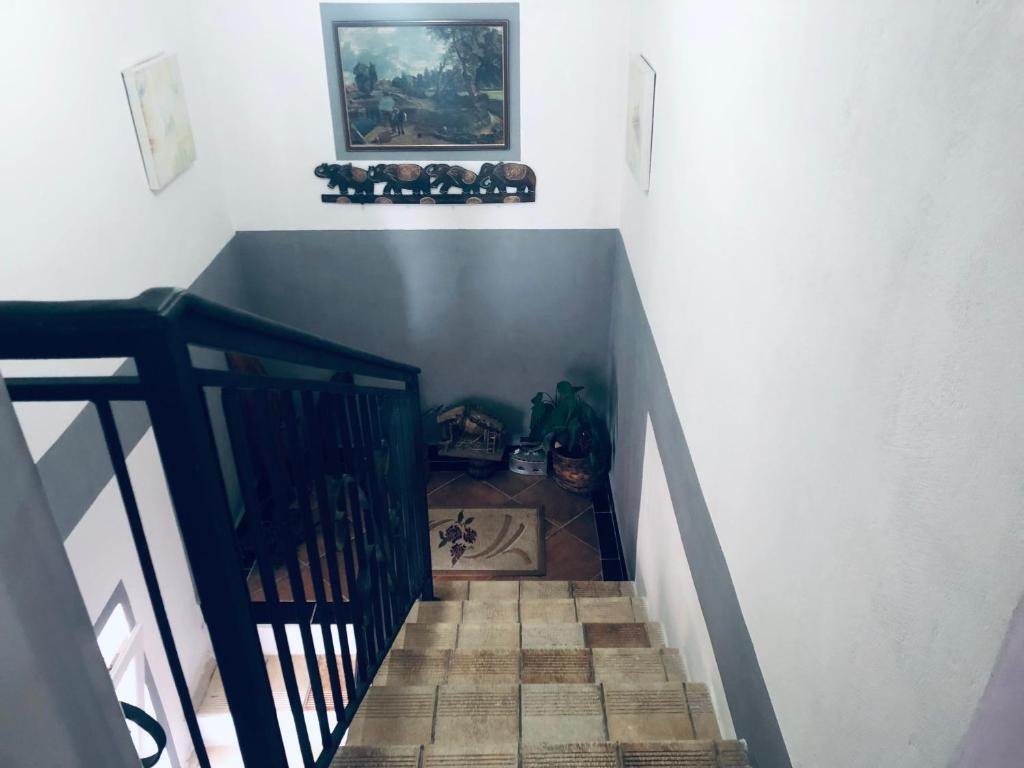 Бар: Apartmani Miljana