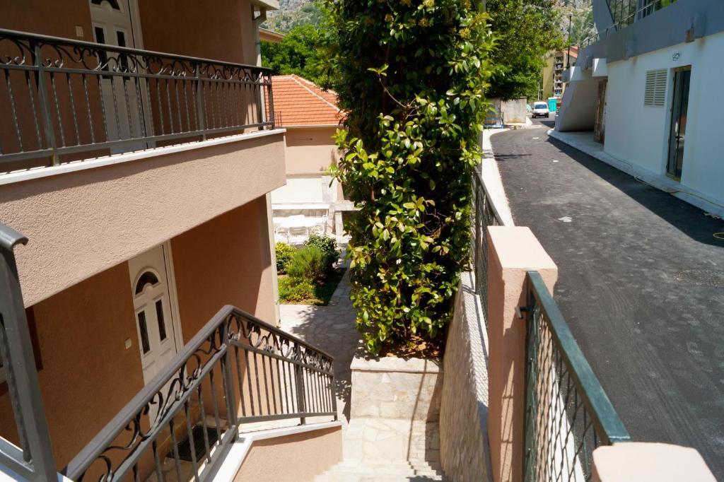 Доброта: Apartment Vjera