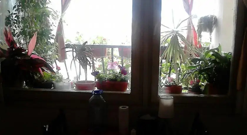 Тиват: Apartment Piano