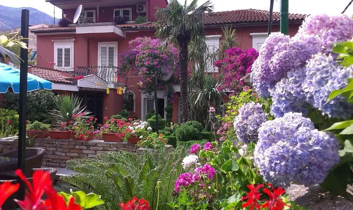 Доброта: Apartment City Garden