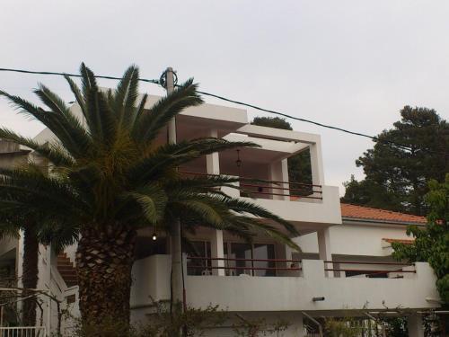Бар: Apartments Djurovic