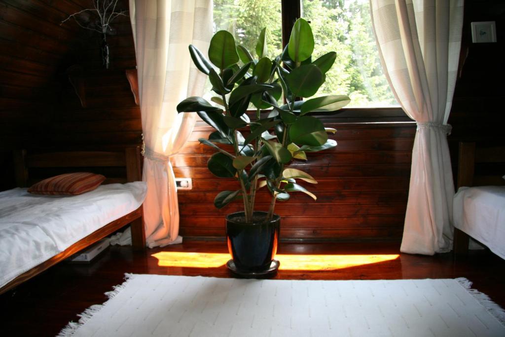 Durmitor Chalet — фото 3