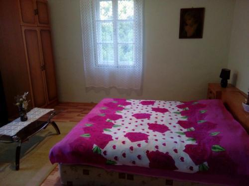Даниловград: Vujovic Guest House