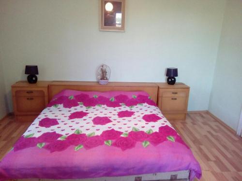 Даниловград: Vujovic Guest House