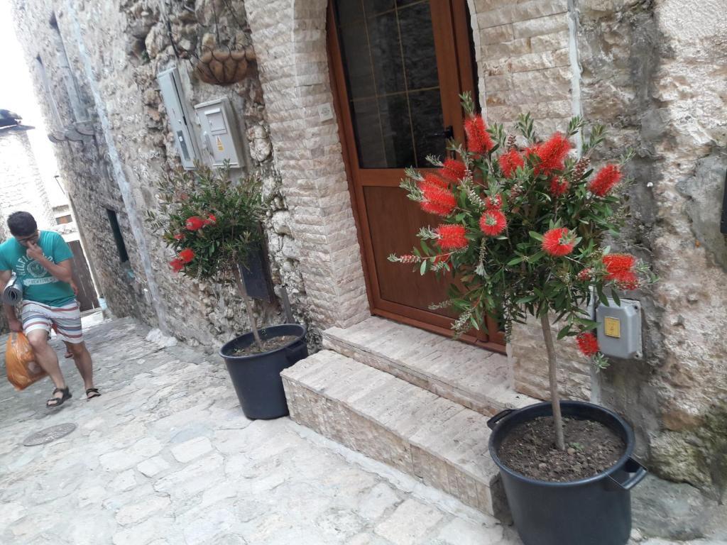 Ульцинь: Apartments Debora