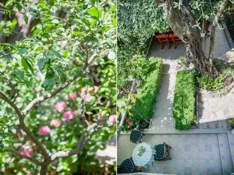Петровац: Rooms Garden