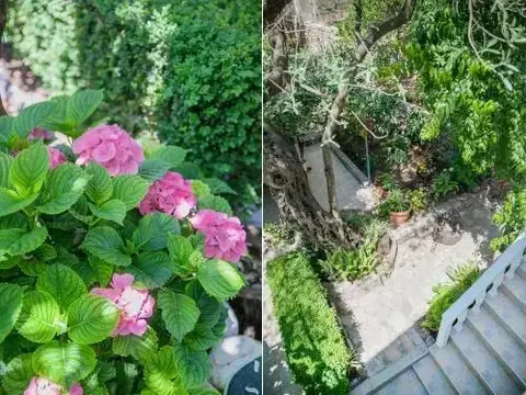 Петровац: Rooms Garden