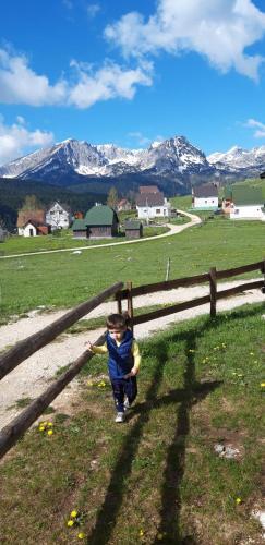 Жабляк: Chalet Hill Zabljak
