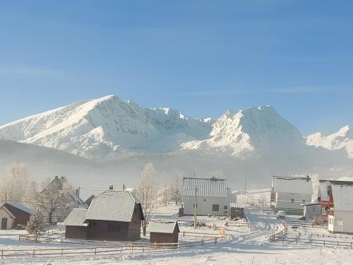 Жабляк: Chalet Hill Zabljak