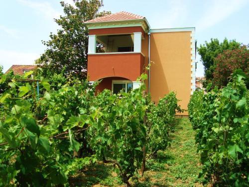 Тиват: Apartments Rustica