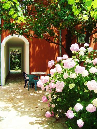 Тиват: Apartments Rustica