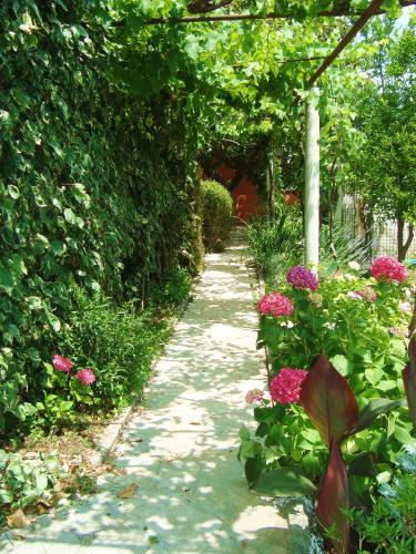 Тиват: Apartments Rustica