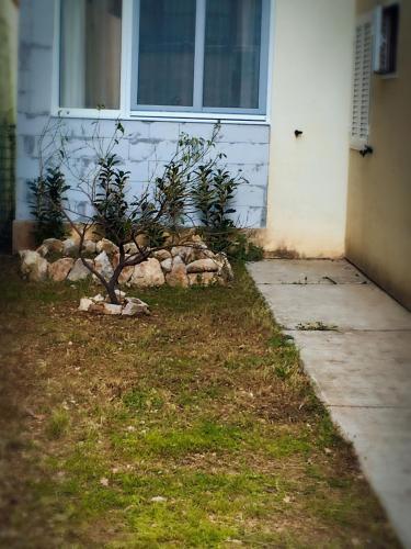 Будва: Margita Appartment