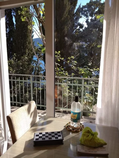 Херцег-Нови: Apartments Vila Kamelija