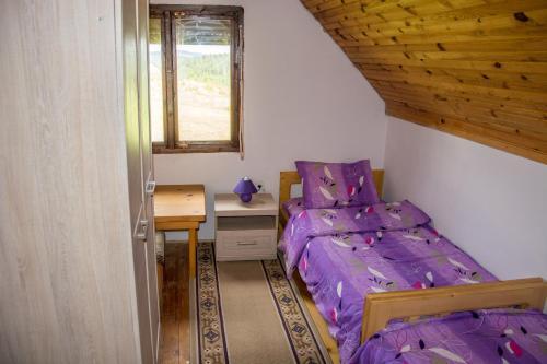 Жабляк: Zabljak Chalet Dacic