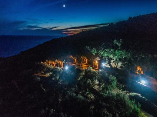 Ульцинь: Holiday Park Olive Tree
