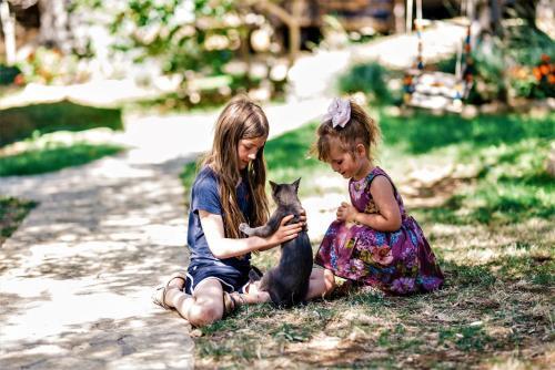 Ульцинь: Holiday Park Olive Tree