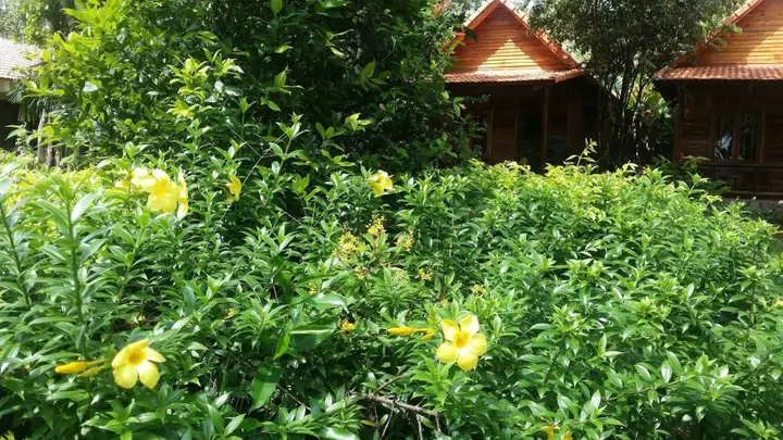 остров Фукуок: Wild Beach Phu Quoc Resort