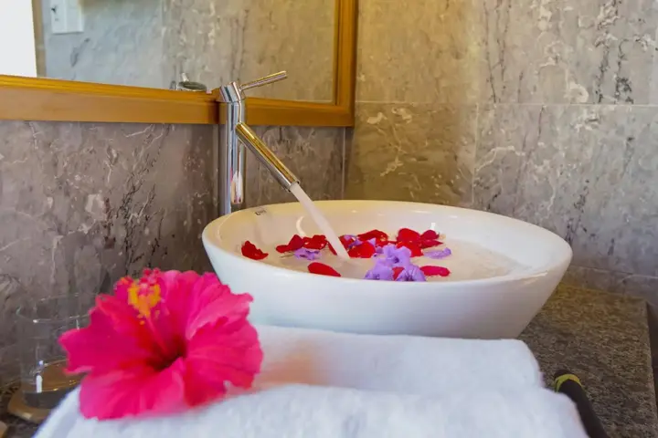 Хойан: Tropical Garden Homestay Villa