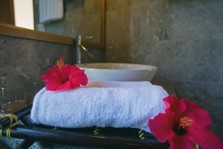Хойан: Tropical Garden Homestay Villa