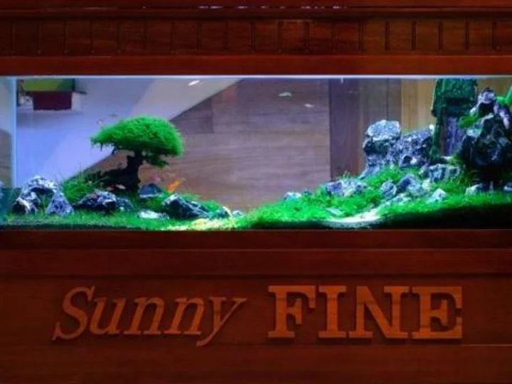 Хюэ: Sunny Fine Guesthouse
