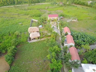 Зявьен: Cuc Phuong Bungalow
