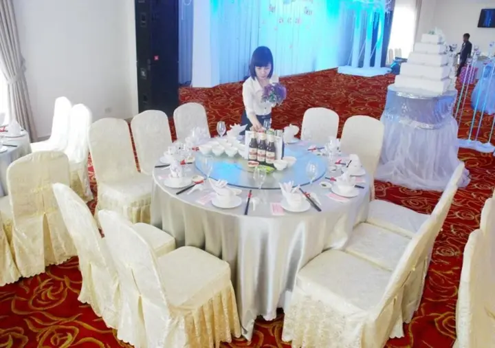 Хайфон: Draco Thang Long Hotel
