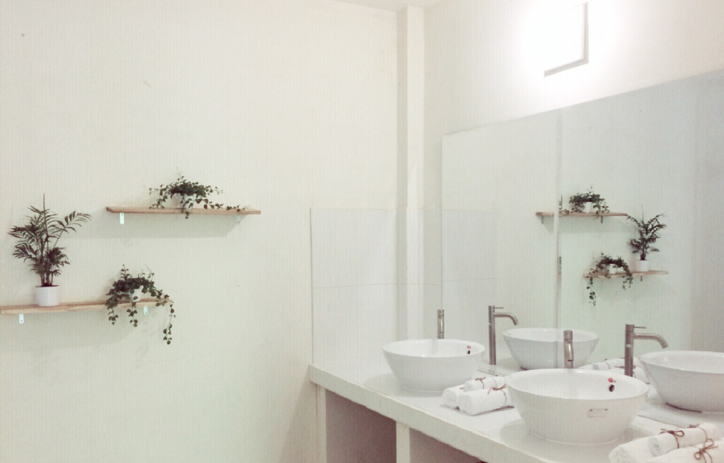 Хайфон: Draco Thang Long Hotel