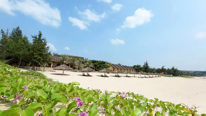 Фантхьет: White Sand Resort