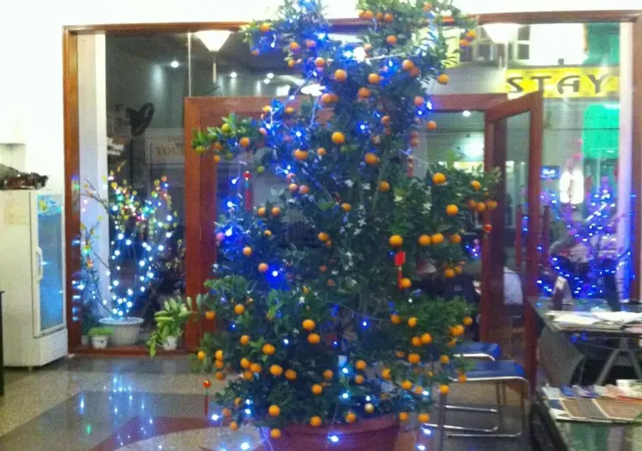 Хюэ: Hue Home Hotel
