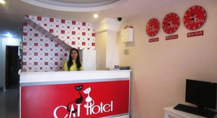 Хошимин: Cat Hotel