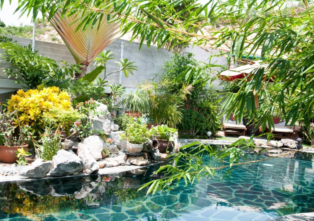 Фантхьет: Evergreen Resort