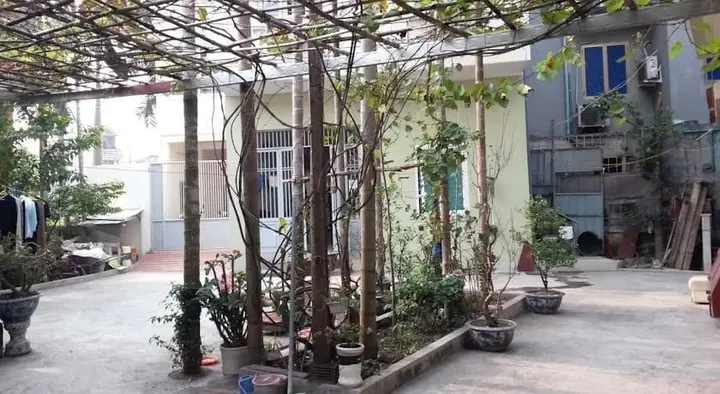 Хайфон: Sen Hotel Haiphong