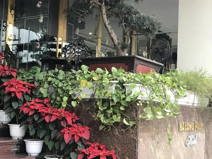 Халонг: Ha Long Park Hotel