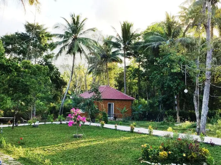 остров Фукуок: Giraffa Phu Quoc