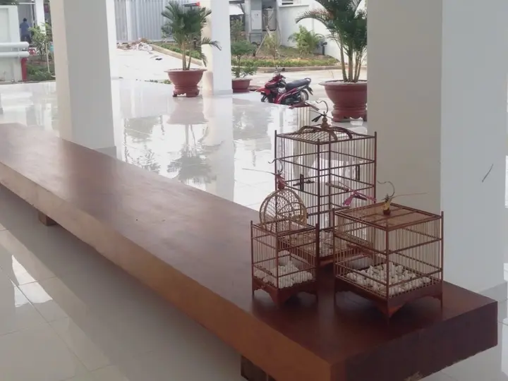 Тхузаумот: Waterfall Residences Binh Duong