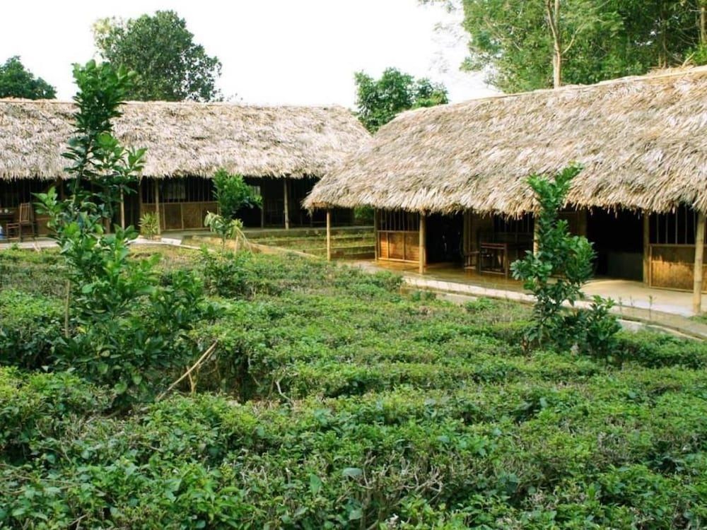 Дуонг-Лам: Family Homestay Ba Vi - Hostel