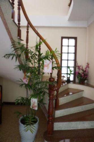 Далат: Daisy Homestay