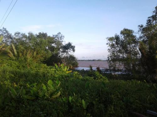 Кантхо: Mekong Vintage Homestay