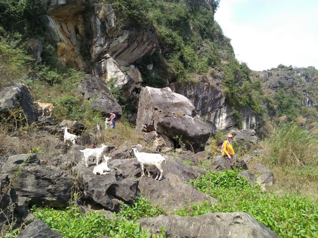 Зявьен: Ninh Binh Family Homestay