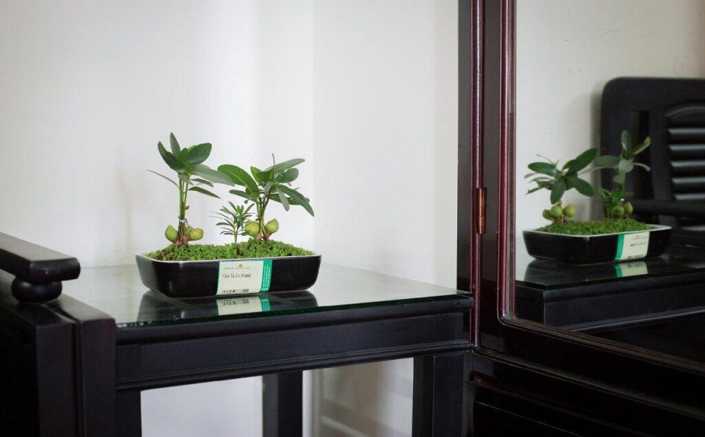 Хюэ: Casablanca Boutique Hotel Hue