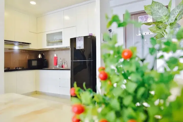 Хошимин: Linh Tran Apartment