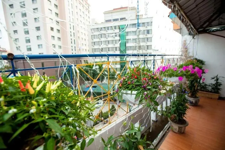 Халонг: Halong Party Hotel