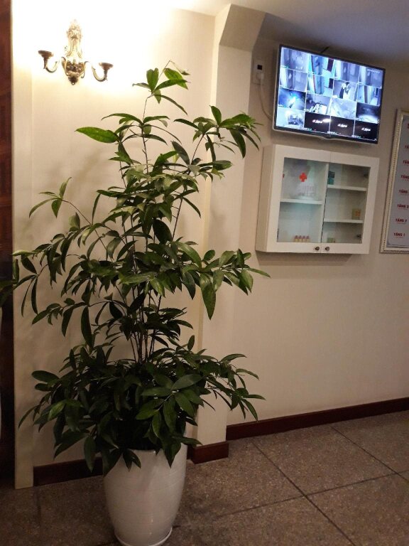 Хайзыонг: Purple Lotus Hotel