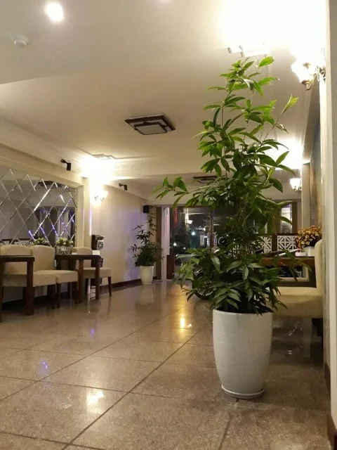 Хайзыонг: Purple Lotus Hotel