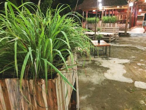 Фонг Ня: A Vietnam Corner Restaurant & Hostel