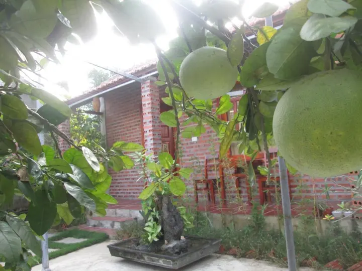 Зявьен: Ninh Binh Nature Homestay